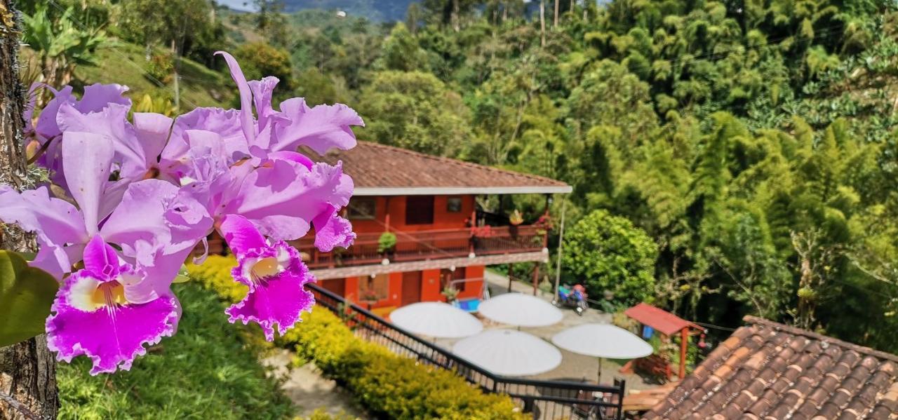 Hotel Orillas Del Pizano Jardin Exterior foto